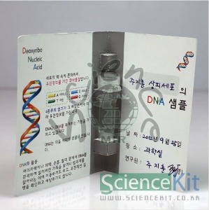 DNA추출 동물세포(4인용)
